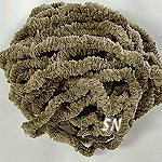 Olive Chenille from Lady Dot Olive Chenille from Lady Dot