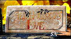 Sprouting Lupine All Hallows Eve - click for more