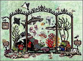 Lola Crow The Deadly Aquarium- click for more