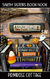 Salem Sisters Book Nook from Primrose Cottage - click for more