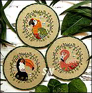 PuntiniPuntini Tropical Birds Trio - click to see more