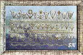 Nature from Rosewood Manor - click for more Nature from Rosewood Manor - click for more