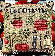 Home Grown Tomatoes from Scarlett House - click for more