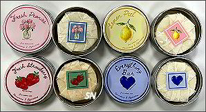 Lotion Bars from Stacy Nash -- click to see sample pages