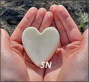 Lotion Bars from Stacy Nash -- click to see sample pages