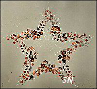 #2410 Autumn Garland Star from Une Croix, le temps d' un The' height=