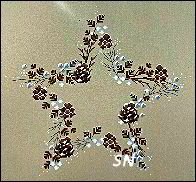 #2401 Pine Cone Garland Star from Une Croix, le temps d' un The' height=